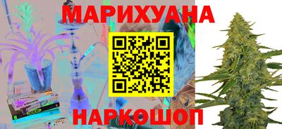 сатива Краснодар